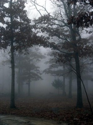 My Ghostly Obsession by Judybopp
