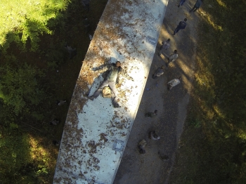 7ec60c2c-2985-3e2a-6765-21af942921cf_TWD_413_GP_1023_0413