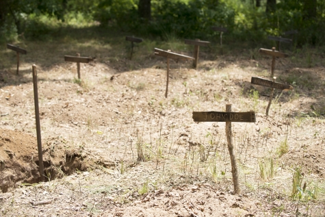 TWD_604_GP_0730_0068