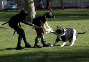 episode-11-tom-denny