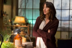 Rosalee's past dealings with certain gangs helps Nick and Hank with their investigation