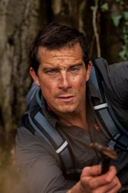 Bear Grylls