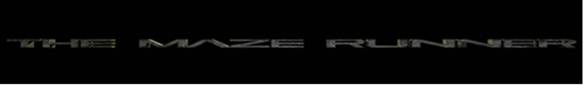 The Maze Runner (banner)