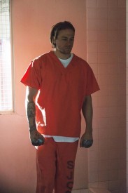 SoA_701_BlackWidower_1562_400