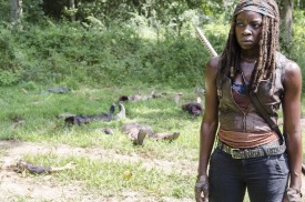 Who does something like this? Michonne breaks after seeing the dead in pieces.