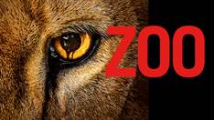 Zoo key art