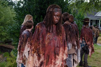 That is a serious 'don't fuck wit me' face. Michonne backs it up too.