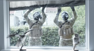 The quarantine begins.