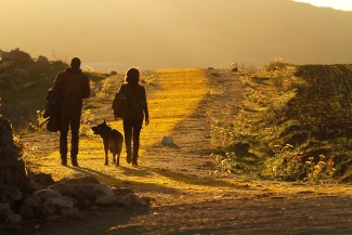 EMERALD CITY -- "The Lucas (Oliver Jackson-Cohen), Toto, and Dorothy (Adria Arjona) follow the yellow poppy road to the Emerald City -- (Photo by: Rico Torres/NBC)