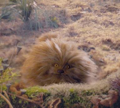 The Dark Crystal: Age of Resistance - Fizz gif