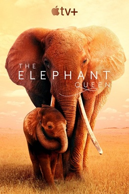 The Elephant Queen - key art - Apple TV+
