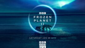 Frozen Planet II, Frozen Planet 2, BBC America, AMC+