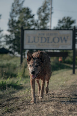     On the set of Pet Sematary: Bloodlines, streaming on Paramount+, 2023. Photo Cr: Philippe Bosse/Paramount Players    On the set of Pet Sematary: Bloodlines, streaming on Paramount+, 2023. Photo Cr: Philippe Bosse/Paramount Players